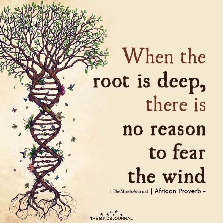 When-the-root-is-deep