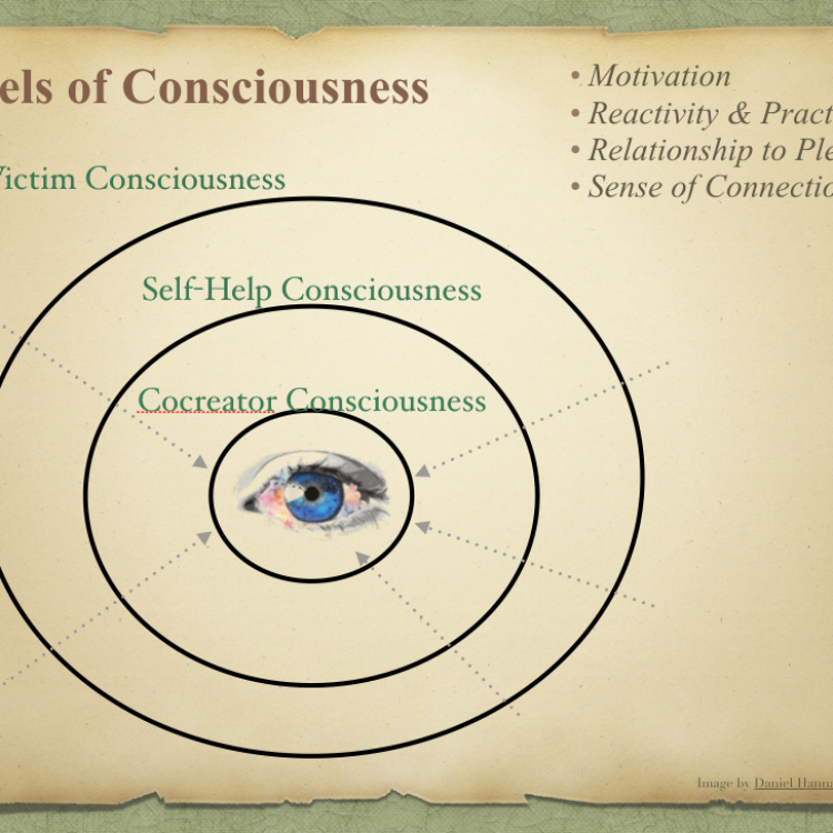 level of consciousness
